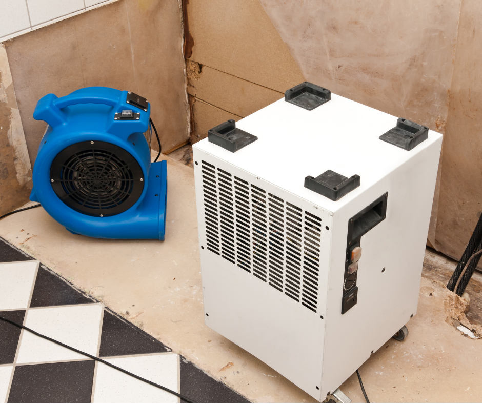mold damage air handler1